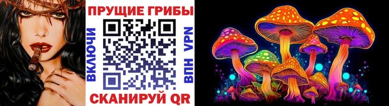Галлюциногенные грибы Psilocybine cubensis  Купить закладки  Печоры 